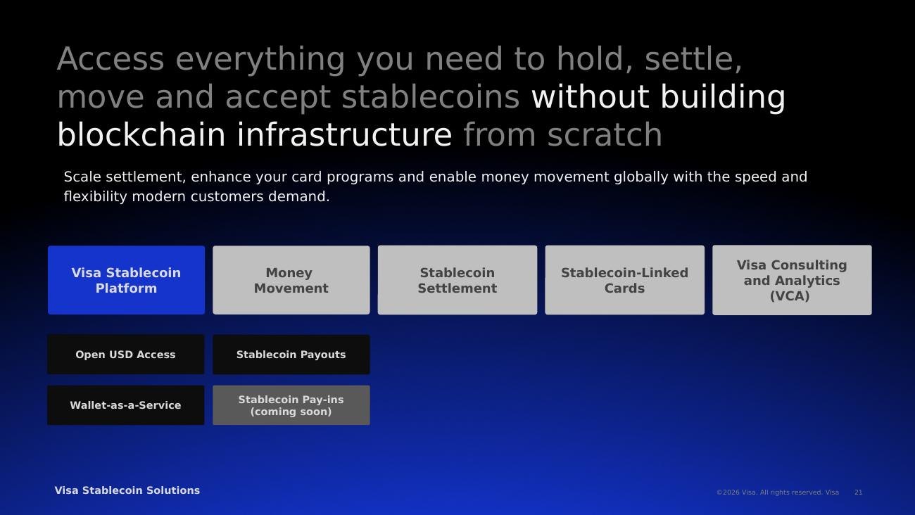 Visa client pitch platform overview